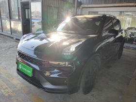 领克01 2021款 2.0TD 四驱暗夜版