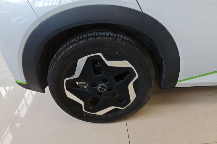 比亚迪 海豚 2021款 405km 时尚版车身外观6008