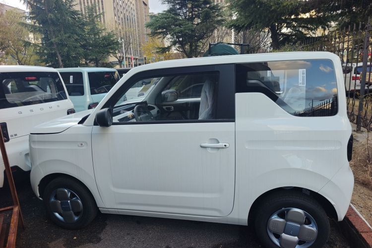 吉利银河 2024款 熊猫mini 200km 耐力熊车身外观4