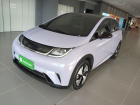 比亚迪 海豚 2023款 420km 时尚版