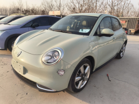 欧拉好猫 2022款 莫兰迪版 400km标准续航 豪华型 三元锂