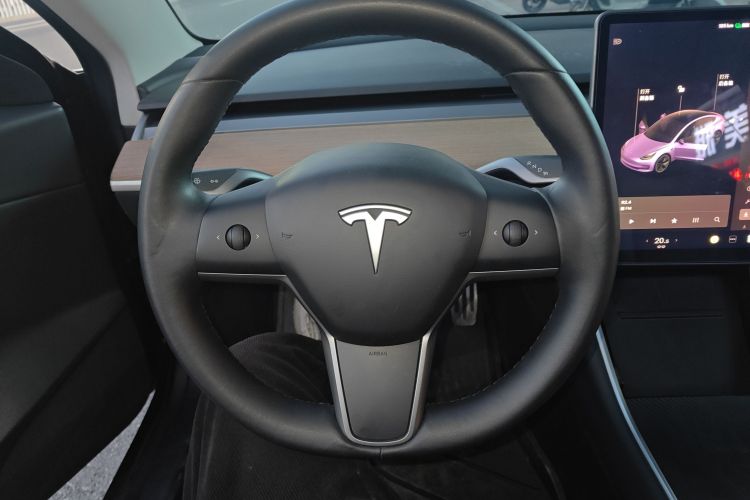 特斯拉 Model 3 2019款 标准续航后驱升级版局部细节13