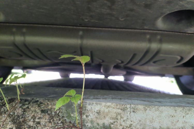 奔驰CLA 2017款 CLA 200 时尚型局部细节9009