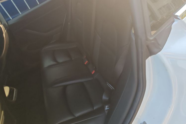 特斯拉 Model 3(进口)  标准续航后驱升级版(60度)中控内饰7004