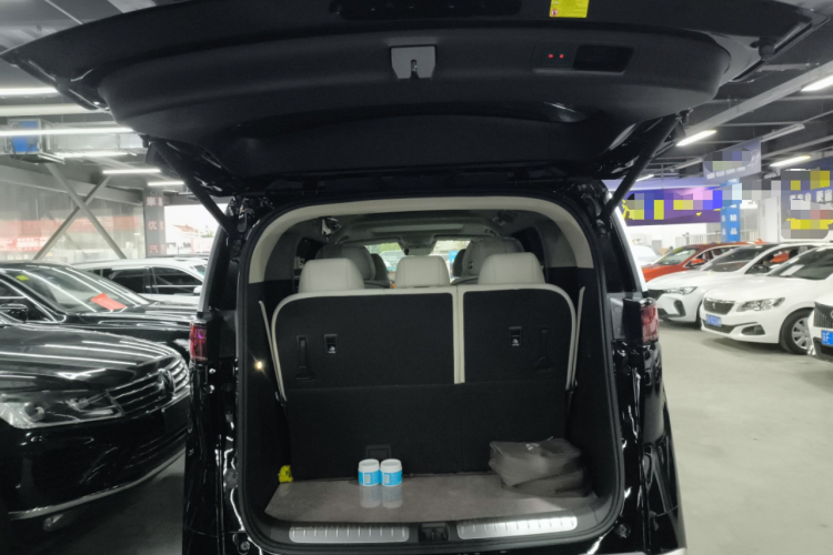 腾势D9 2024款 DM-i 1050 尊享型机舱底盘23