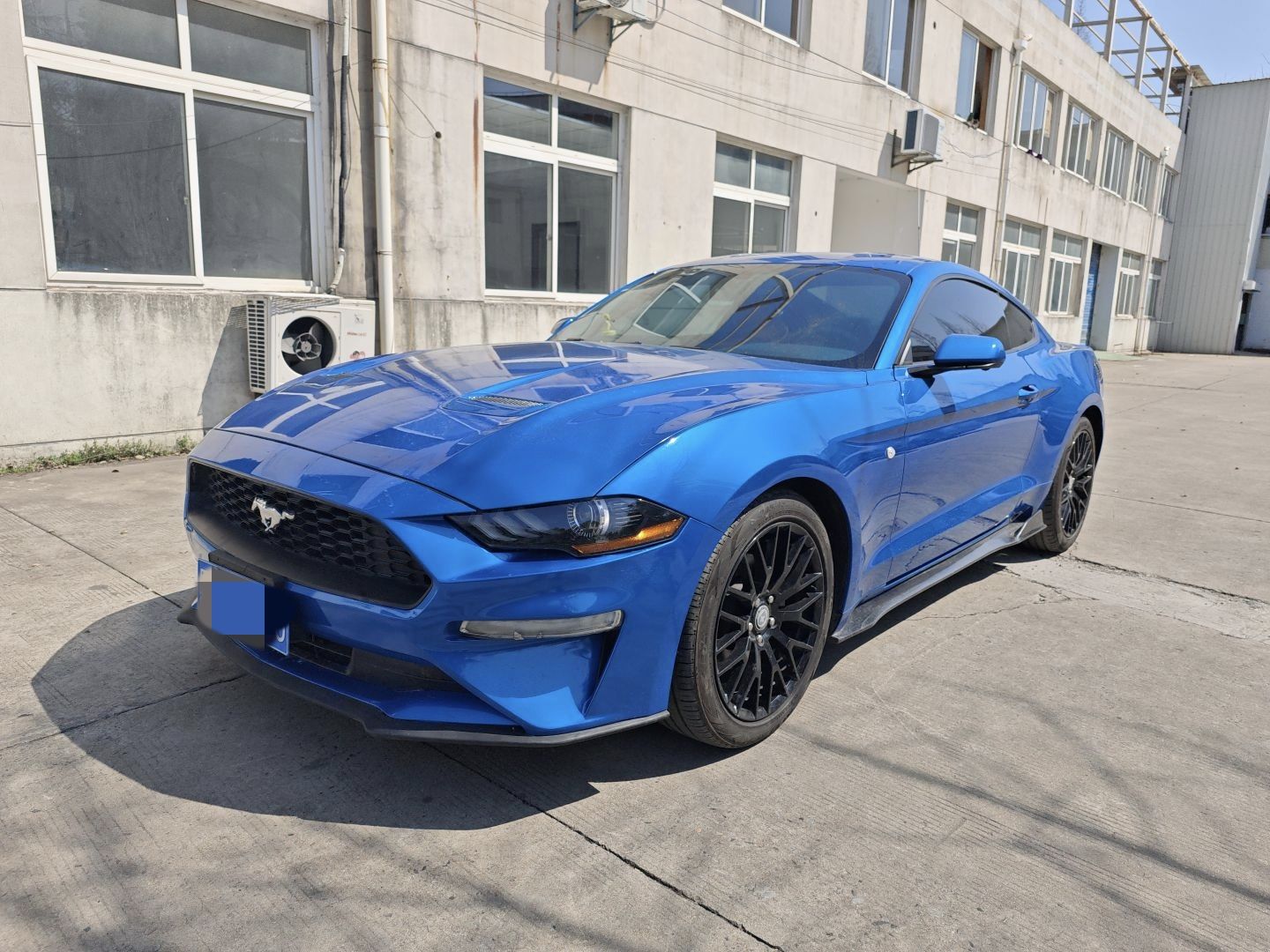 2019款 野马(进口) 2.3T EcoBoost图片