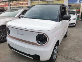 吉利银河 2024款 熊猫mini 200km 耐力熊