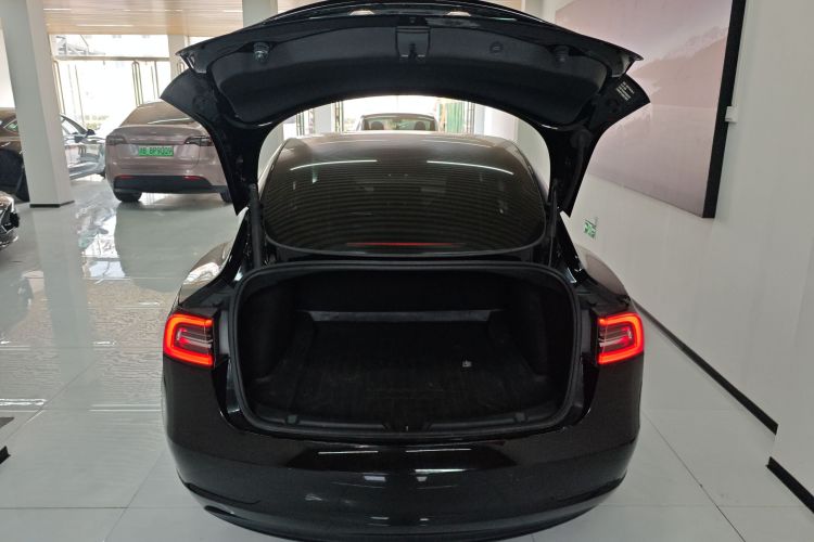 特斯拉 Model 3 2021款 标准续航后驱升级版 3D6机舱底盘23