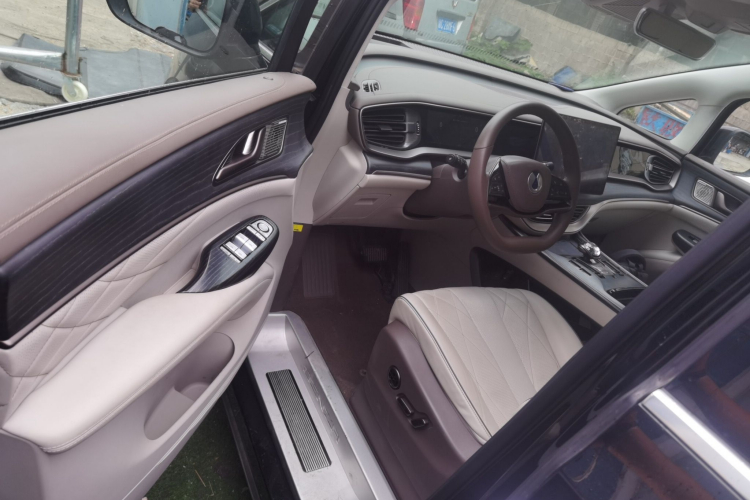 腾势D9 2022款 DM-i 970 四驱旗舰型局部细节19