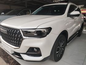 哈弗H6 2023款 国潮版 1.5T 自动都市版