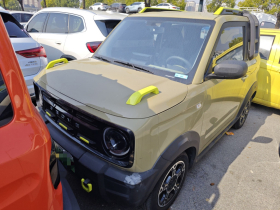 吉利银河 2024款 200km 熊猫骑士