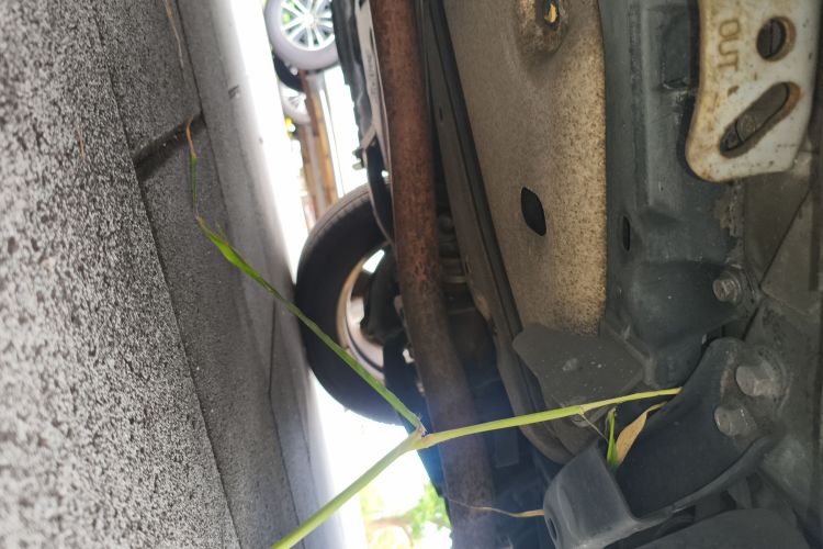 斯巴鲁 傲虎 2010款 2.5i豪华版局部细节9002