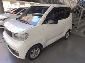 五菱汽车 宏光MINIEV 2020款 自在款 磷酸铁锂