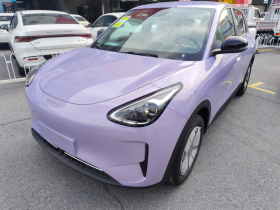 吉利银河 星愿 2026款 310km 青春版