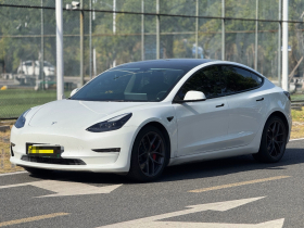 特斯拉 Model 3 2021款 Performance高性能全轮驱动版