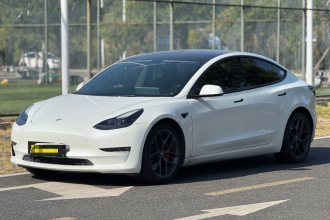 特斯拉 Model 3 2021款 Performance高性能全轮驱动版
