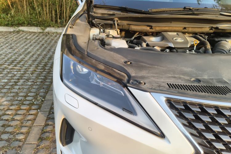 雷克萨斯RX 2020款 300 两驱精英版 国VI车身外观8