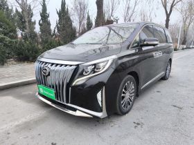 广汽传祺 传祺M8 2021款 领秀系列 390T 至尊版