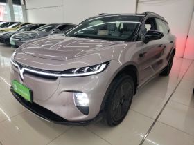 岚图汽车 岚图知音 2024款 超长续航智享版