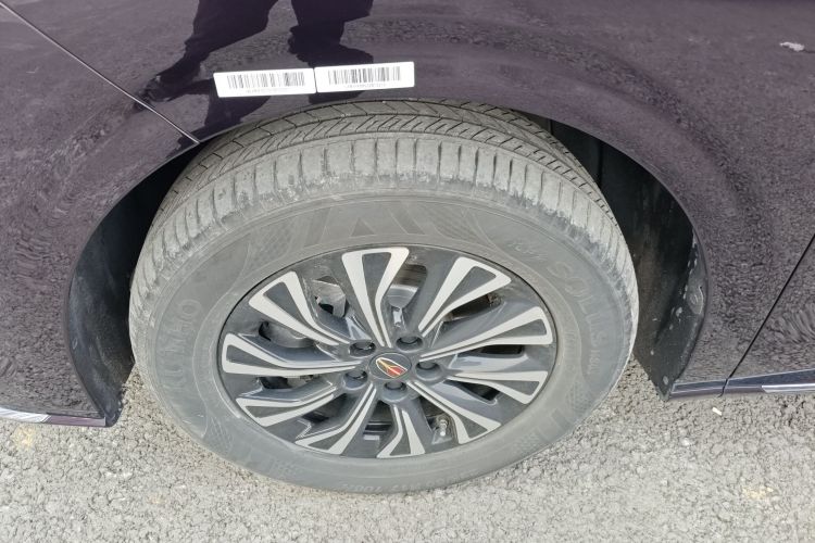 红旗HQ9 PHEV 2024款 2.0T 四驱商务版车身外观6007