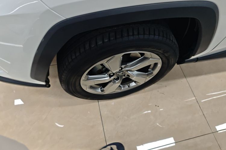 丰田 RAV4荣放 2022款 双擎 2.5L E-CVT两驱精英版车身外观6006