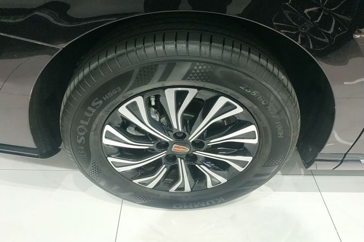 红旗HQ9 PHEV 2024款 2.0T 四驱豪华版车身外观6008