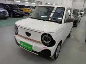 吉利银河 2024款 熊猫mini 200km 龙腾PRO版