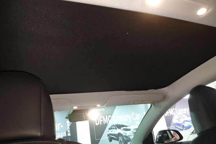 特斯拉 Model 3 2020款 标准续航后驱升级版局部细节22