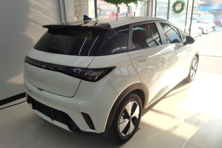 比亚迪 海豚 2023款 420km 自由版车身外观7