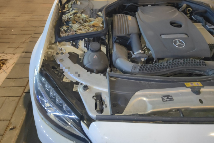 奔驰C级 2018款 C 200 L 运动版局部细节9006