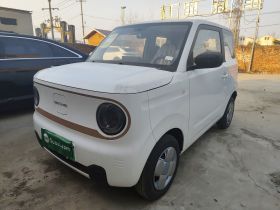 吉利银河 2024款 熊猫mini 200km 耐力熊