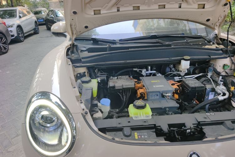 欧拉好猫 2022款 400km标准续航 豪华型 磷酸铁锂局部细节9006