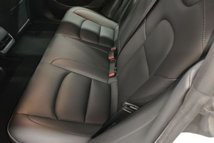 特斯拉 Model 3 2020款 改款 长续航后轮驱动版中控内饰7004