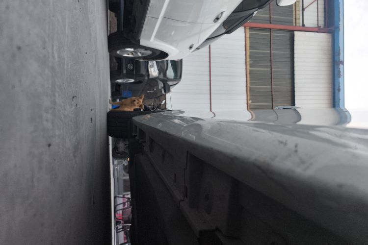 雷克萨斯ES 2023款 200 卓越版机舱底盘29