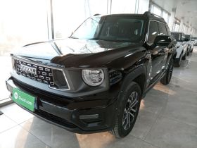 哈弗大狗 PLUS 2023款 2.0T 两驱潮野版Plus