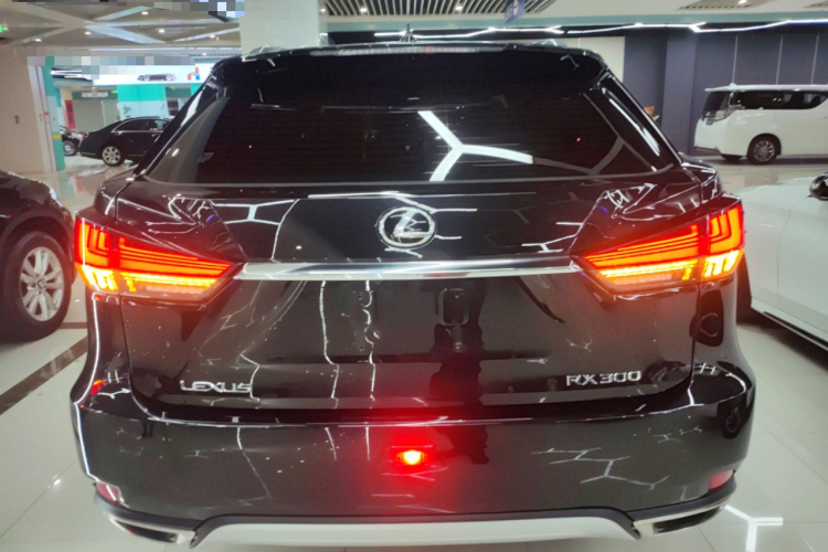 雷克萨斯RX 2020款 300 两驱精英版 国VI车身外观6