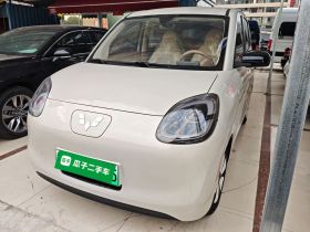 五菱汽车 宏光MINIEV 2025款 四门版 进阶款