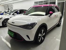 smart精灵#1 2024款 灵动标准版