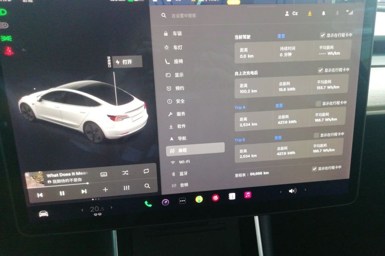 特斯拉 Model 3(进口) 2019款 长续航全轮驱动版中控内饰14