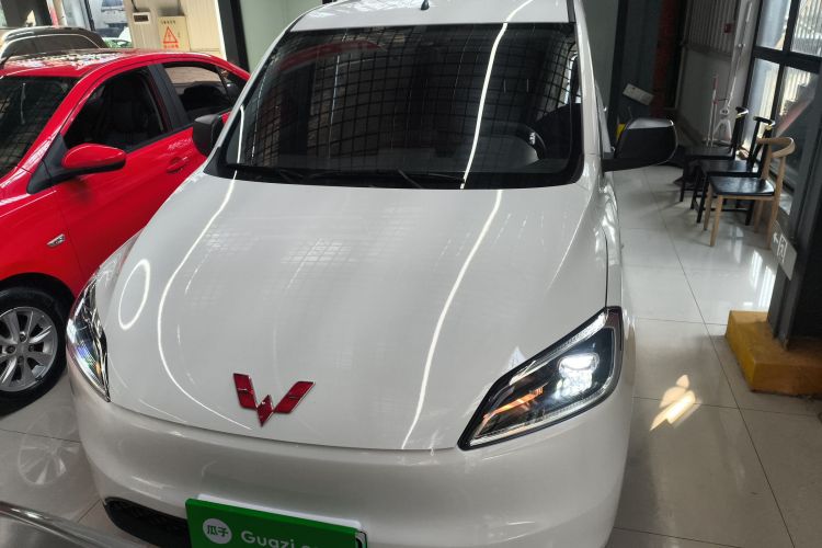 五菱汽车 五菱宏光新能源 2024款 纯电版 300KM 标准型车身外观6001