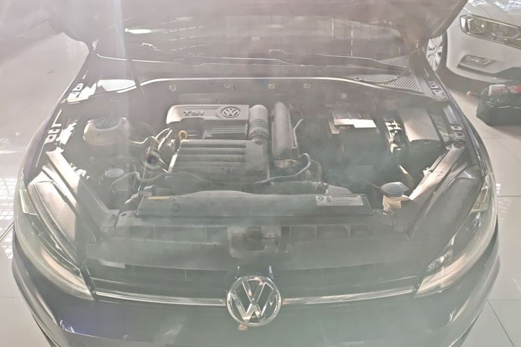 大众 高尔夫 2019款 200TSI DSG舒适进取版 国VI机舱底盘24