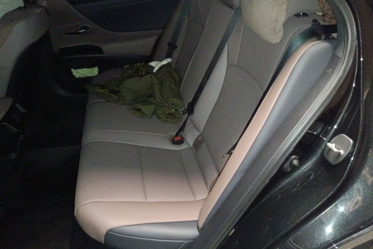 雷克萨斯ES 2022款 300h 臻享版中控内饰21