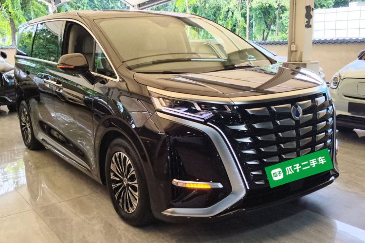 腾势D9 2024款 PIONEER 四座创领版车身外观3