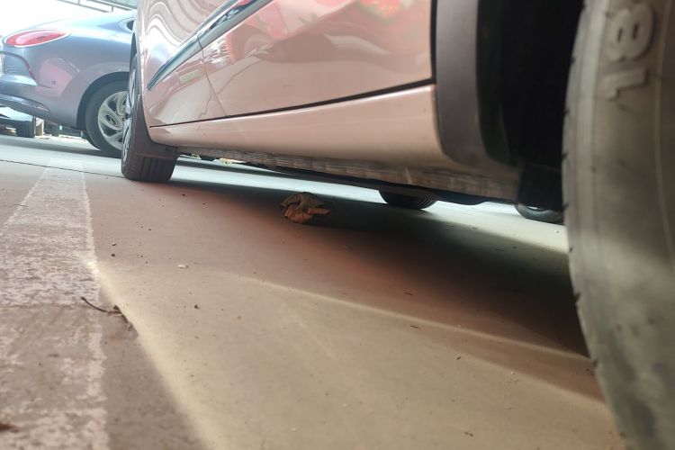 五菱汽车 五菱缤果 2024款 333km 悦享款局部细节9002