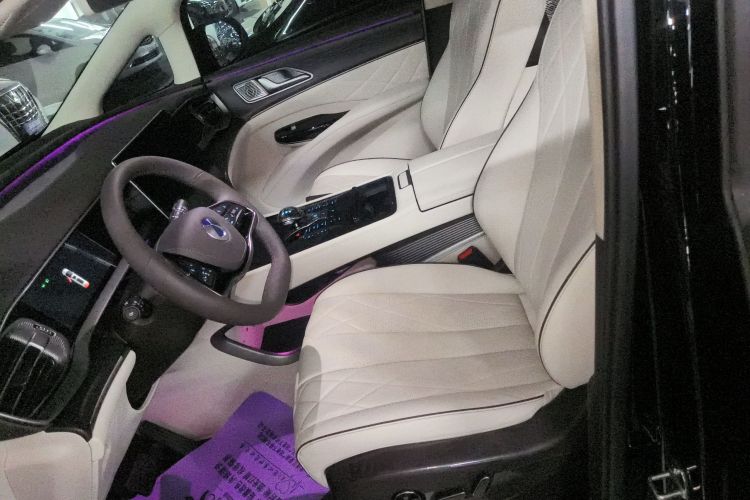 腾势D9 2024款 DM-i 980 四驱旗舰型局部细节19