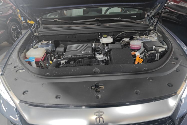 比亚迪 宋Pro新能源 2023款 冠军版 DM-i 110KM超越型机舱底盘24