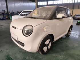 长安启源 长安Lumin 2024款 130km 清悦款