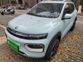 东风纳米EX1 2022款 PRO 悦骋型