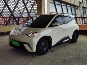 比亚迪 海鸥 2025款 305km 活力版