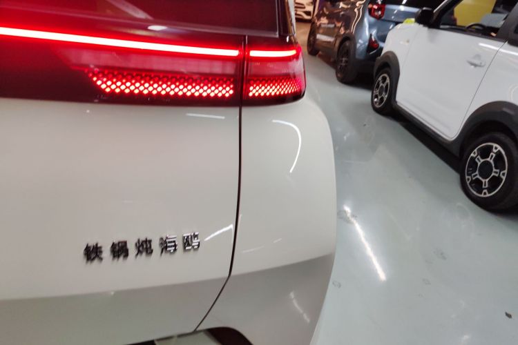 比亚迪 海鸥 2024款 荣耀版 305km 活力版车身外观6006